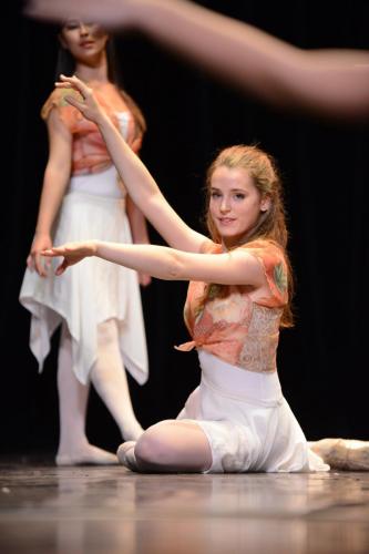 Academie-Gala1 1846 (1) (1)